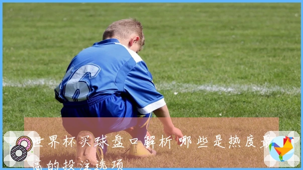 世界杯买球盘口解析 哪些是热度最高的投注选项