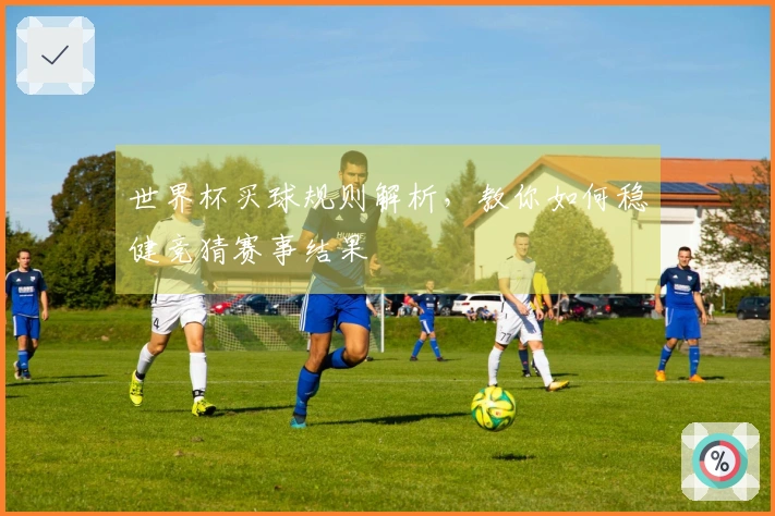 世界杯买球规则解析，教你如何稳健竞猜赛事结果