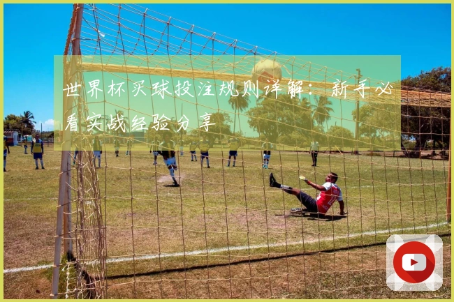 世界杯买球投注规则详解：新手必看实战经验分享