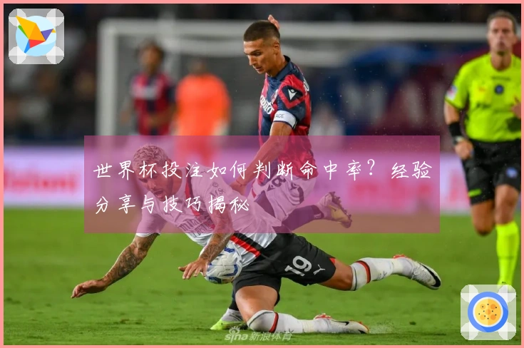 世界杯投注如何判断命中率？经验分享与技巧揭秘